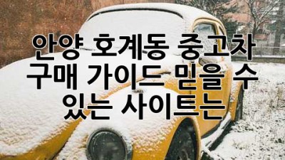안양 호계동 중고차 구매 가이드: 믿을 수 있는 사이트는?